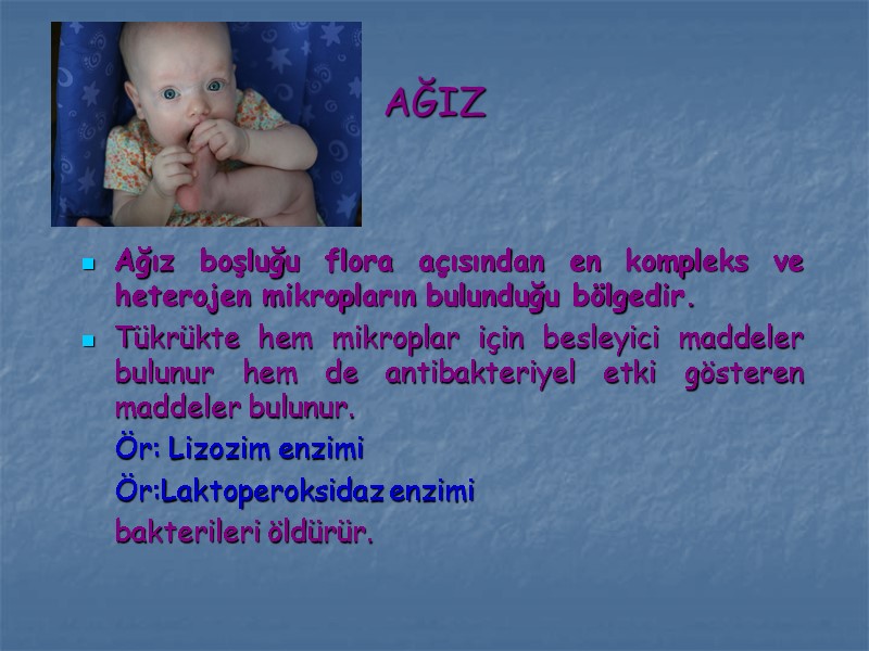 AĞIZ Ağız boşluğu flora açısından en kompleks ve heterojen mikropların bulunduğu bölgedir.  Tükrükte